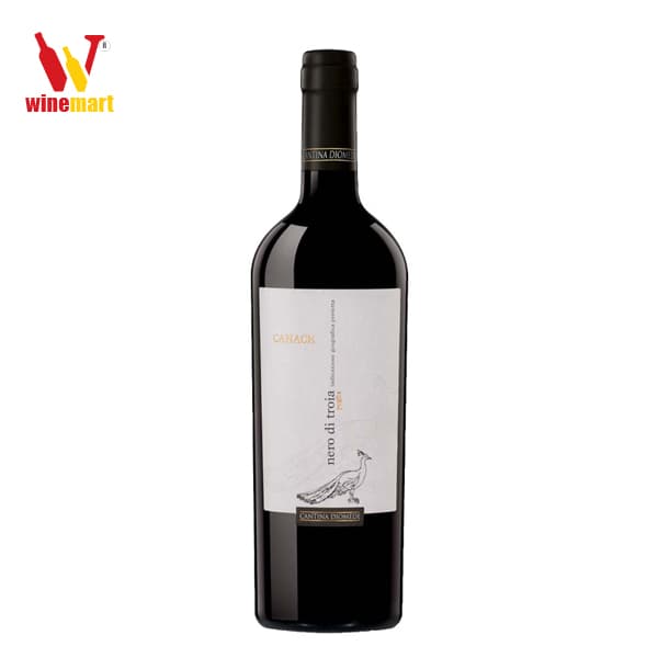 Vang Canace Nero Di Troia