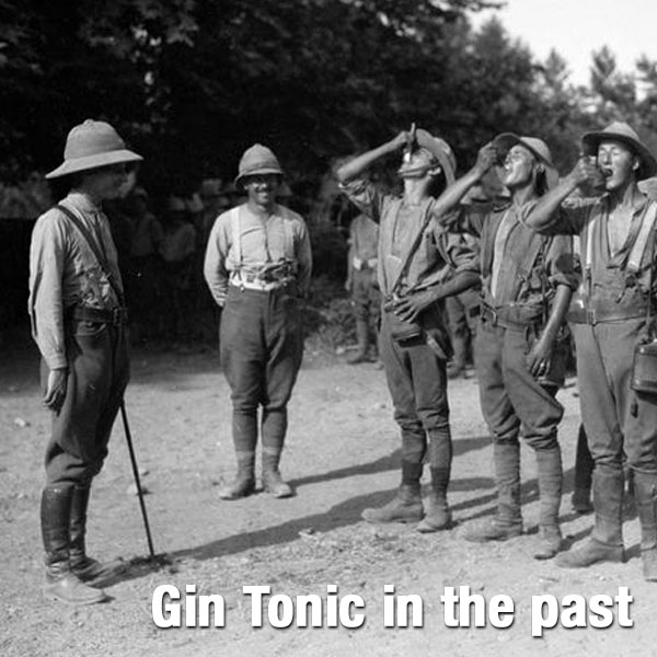 gin-tonic-giai-doan-dau