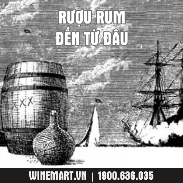 ruou-rum-den-tu-dau