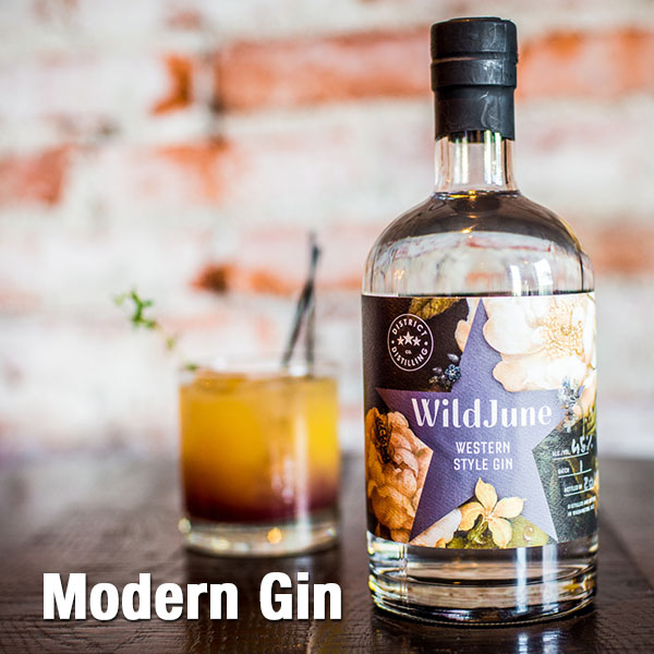 modern-gin