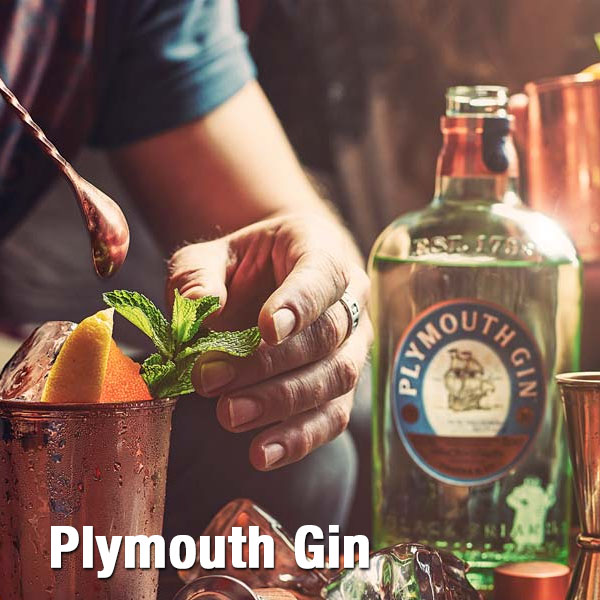 ruou-plymouth-gin