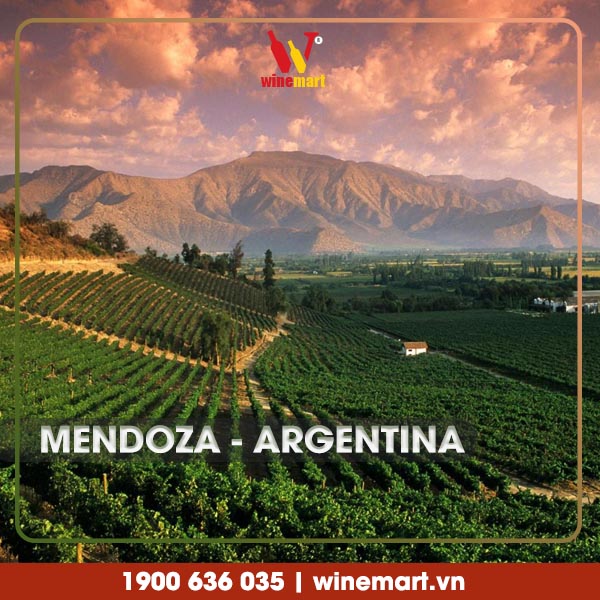 Mendoza là vùng trồng nho chủ đạo của Argentina