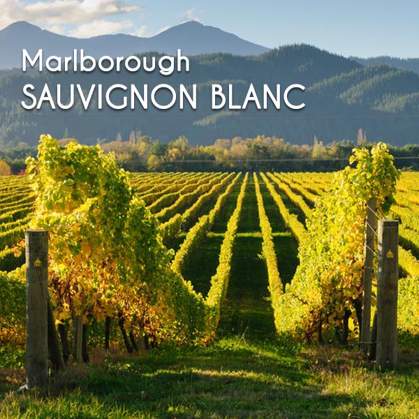Sauvignon Blanc rất đặc biệt khi được trồng tại Marlborough