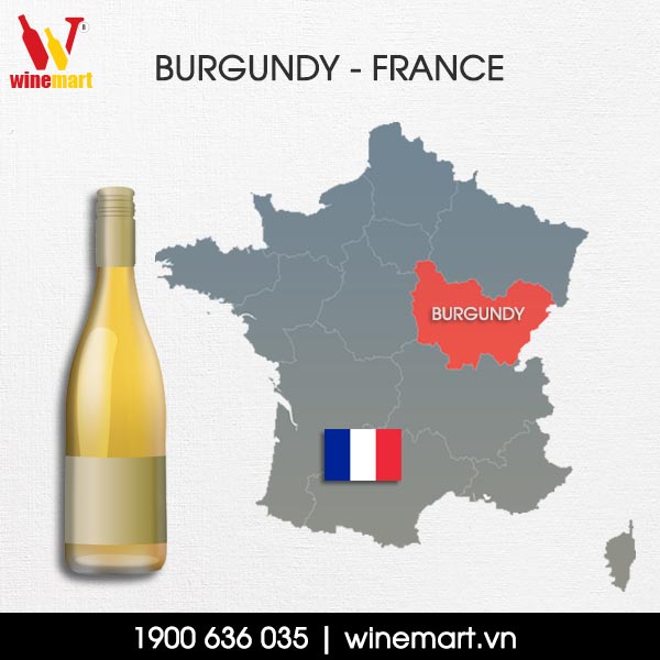 Vang Chardonnay đến từ Burgundy Pháp