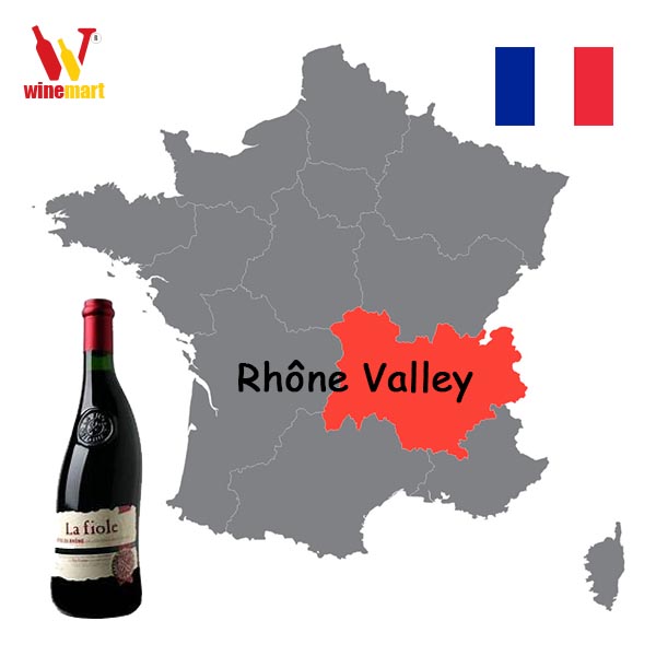 Rượu vang vùng Rhône 