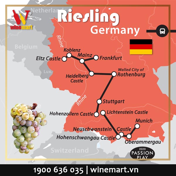 Nho Riesling có nguồn gốc từ Đức