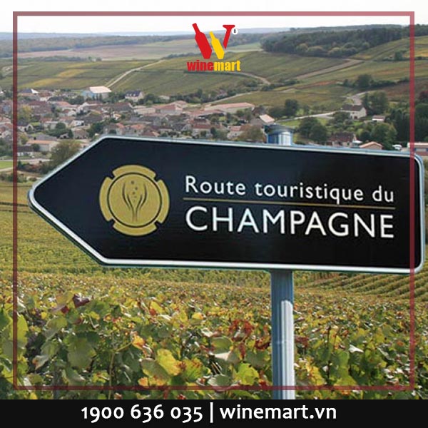 5 khu vực làm vang của vùng Champagne