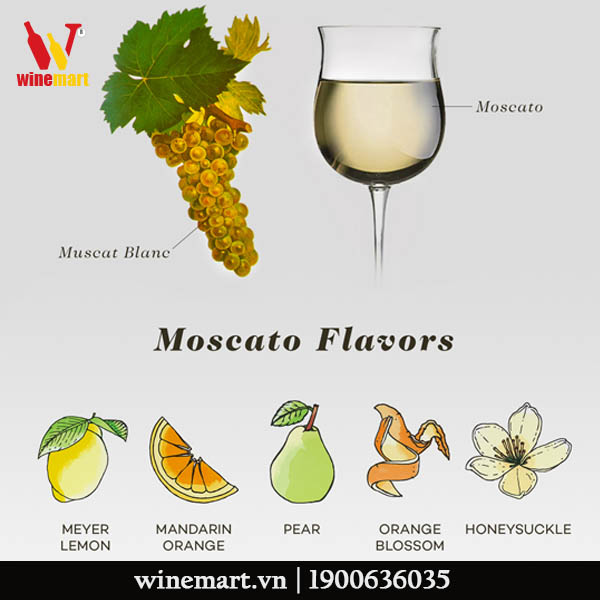 Hương vị đặc trưng của Moscato