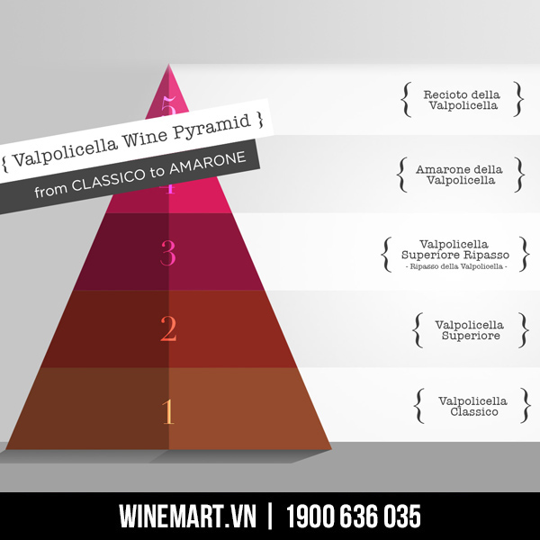 Kim tự tháp thể hiện 5 cấp bậc